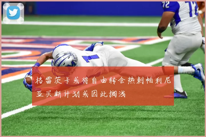 格雷茨卡或将自由转会热刺帕利尼亚买断计划或因此搁浅